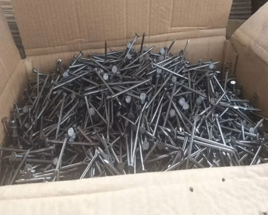 Runder/flacher Kopf, Spike-Draht, Stahlnägel, gewöhnliche Nägel, Eisen, Neupreis, Edelstahl, großes Eisen, glatt, glatt, GB, gewöhnlicher Nagel